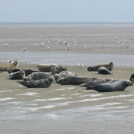 Prázdninový dům Wiringherlant-11 By Interhome